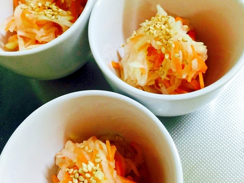 お正月 簡単おせち料理 おつまみ紅白なます レシピ 作り方 By Toytoy Saori05 楽天レシピ お正月 簡単おせち料理 おつまみ紅白なます レシピ 作り方 By Toytoy Saori05 楽天レシピ